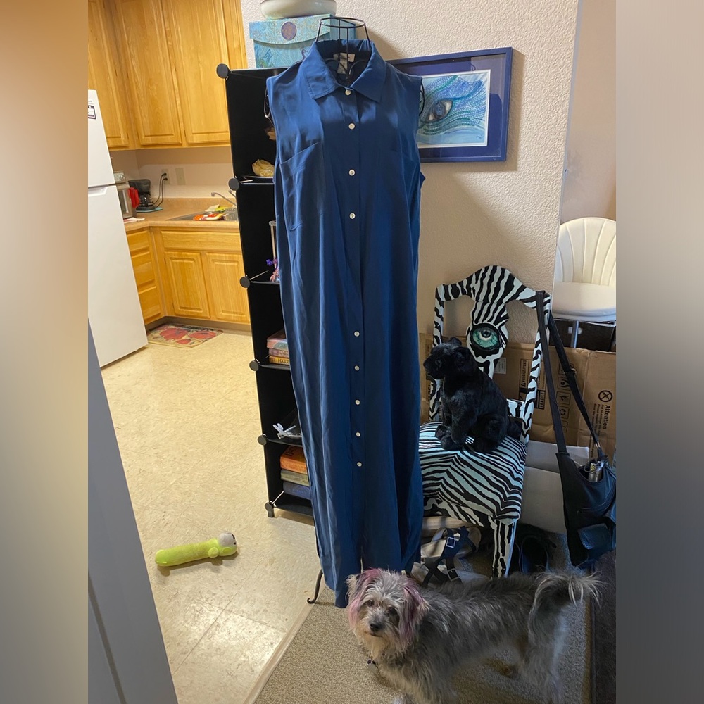 Savannah Navy Button-Front Sleeveless Maxi dress
